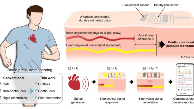 Wearable Patch Reads Your Blood Pressure Every Second Without a Cuff