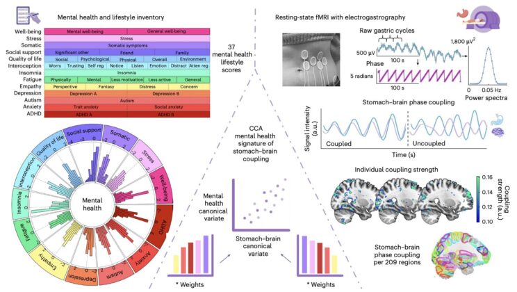 Scientists Discover Your Stomach May Be Controlling Your Mood