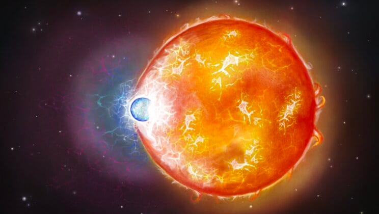 The Ghost of Two Suns Lives Inside a Single White Dwarf