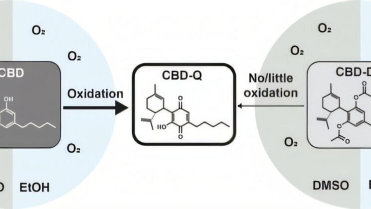 Scientists Uncover Hidden Chemical in CBD Vapes That Can Kill Healthy Cells