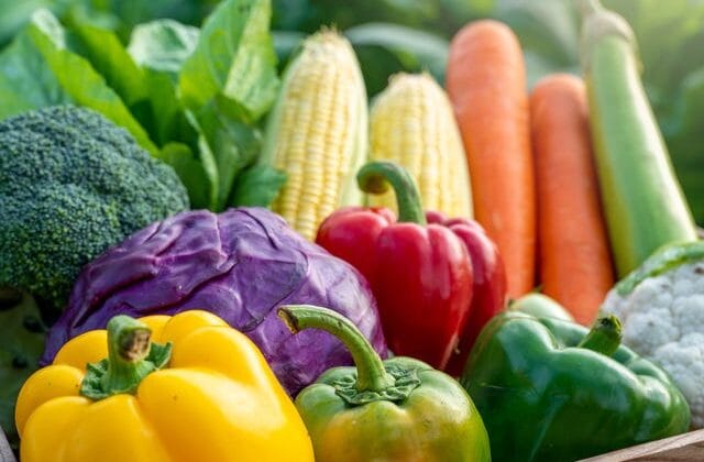 Ancient Andean City Reveals Farming Was the Secret to Survival Near the Sea