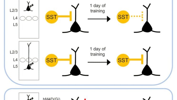 The Hidden Reason Your Brain Remembers Life Changing Moments and Forgets the Rest