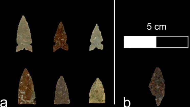 Ancient Beads and Lost Stories Unearthed in a Wyoming Field