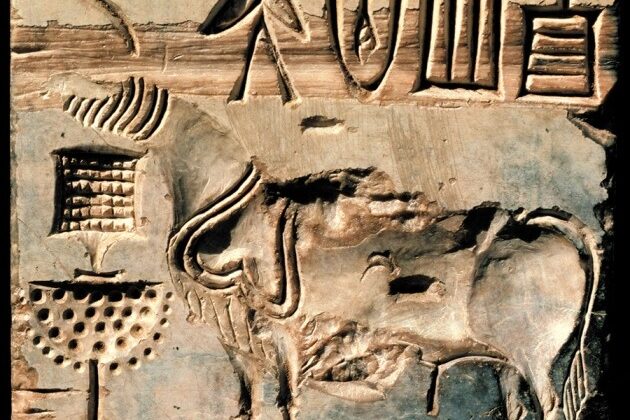 The Undeciphered Symbols of the Indus Valley Civilization