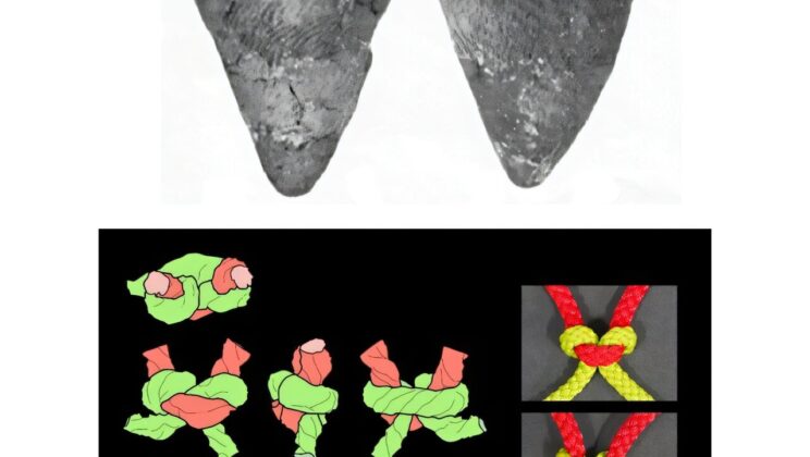 6,000-Year-Old Fishing Nets Reconstructed in Japan—And They’re Unlike Anything We Expected