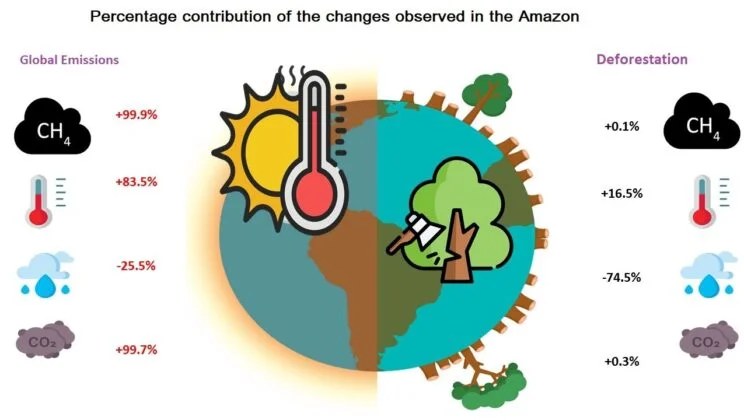 Amazon Rainfall Is Vanishing — 74% of It Lost to Deforestation, Study Reveals