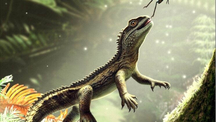 Tiny Fossil From Devon Reveals the Fierce-Toothed Ancestor of Lizards and Snakes