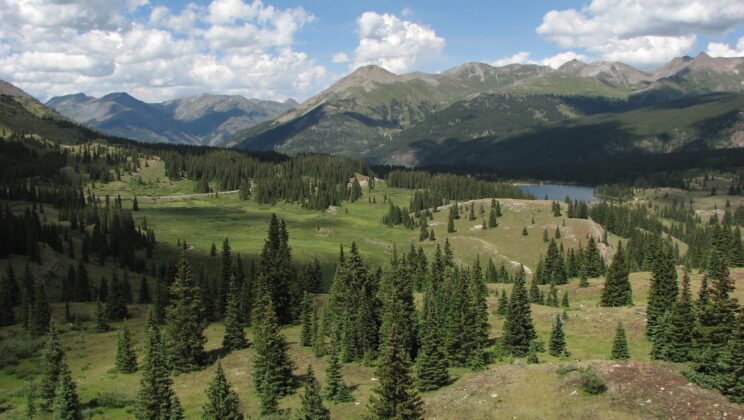 Insects Are Vanishing Even in ‘Untouched’ Wilderness—And the Reason Should Worry Us All