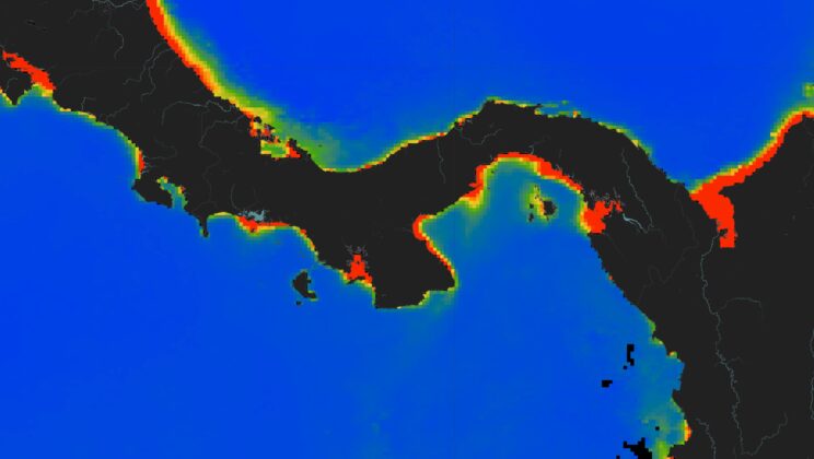 For the First Time Ever, the Ocean Went Silent in Panama—Scientists Are Alarmed