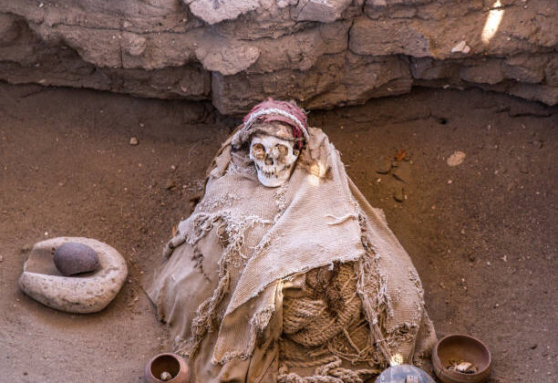 The Oldest Human Fossils Ever Found in North America