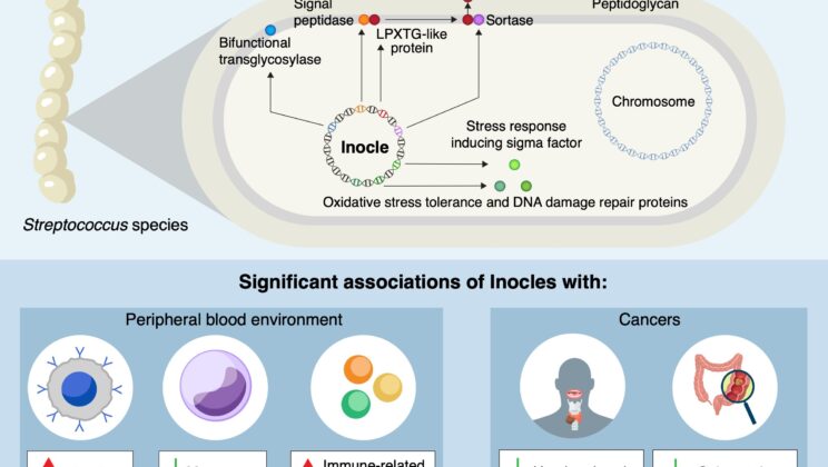 You’ve Had This Giant DNA in Your Saliva All Along—And No One Knew It Existed