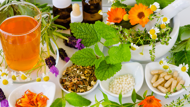 The Science Behind Herbal Medicine and Modern Health