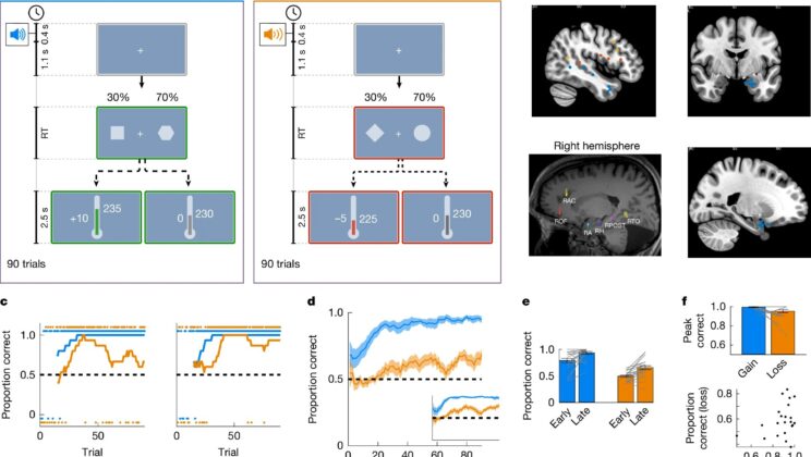 Why Your Brain Takes Bigger Risks When You’re About to Lose Something