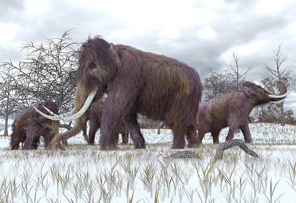 Ice Age Discoveries That Rewrite Prehistory