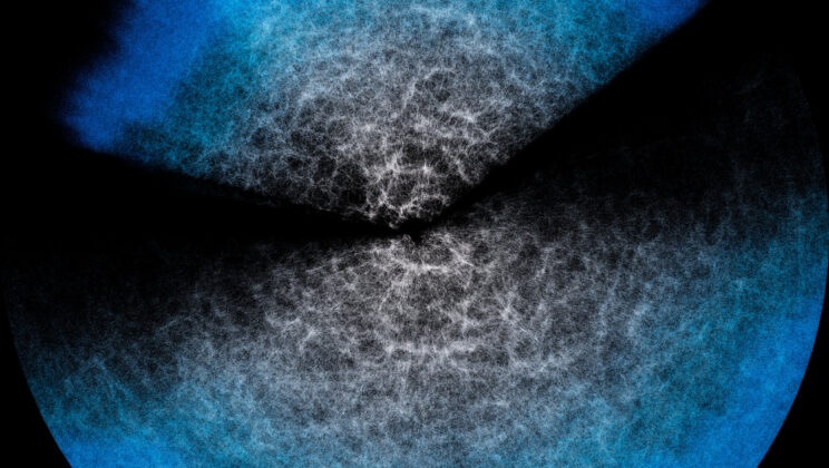 This AI-Powered Tool Lets Scientists ‘See’ the Skeleton of the Universe