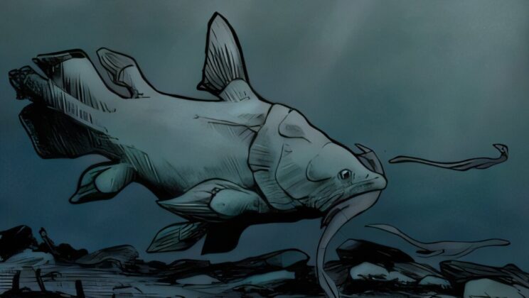 Fossils Misidentified for 150 Years Turn Out to Be Ancient ‘Living Fossils