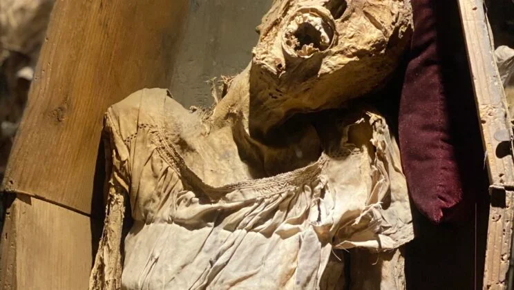 What is a Mummy? Exploring the Science and Mystery of Preserved Bodies