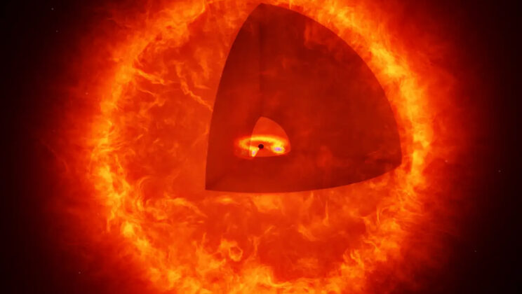 Webb Telescope Finds Stars That Aren’t Stars — And the Discovery Is Baffling