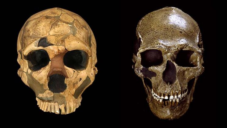 Neanderthals vs. Homo Sapiens: What Archaeology Tells Us