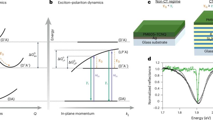 What Happens When Light and Matter Fuse? A Discovery That Could Transform Solar Energy