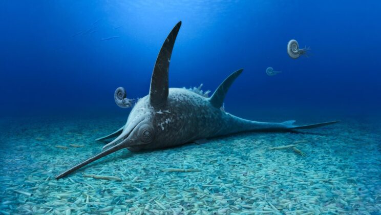 New ‘Swordfish’ Dinosaur-Era Predator Unearthed in Germany’s Jurassic Seas