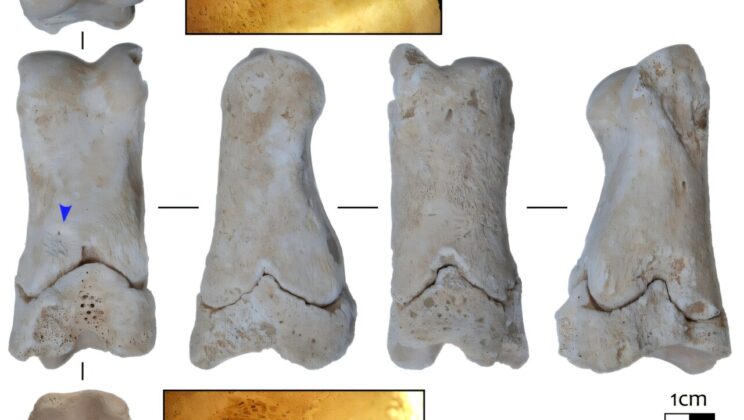 3,300-Year-Old Bone Whistle Found in Egypt Could Reveal Secrets of Royal Tomb Guards