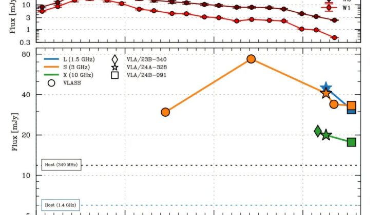 A Star Was Torn Apart by a Black Hole—Its Radio ‘Echo’ Arrived Years Later