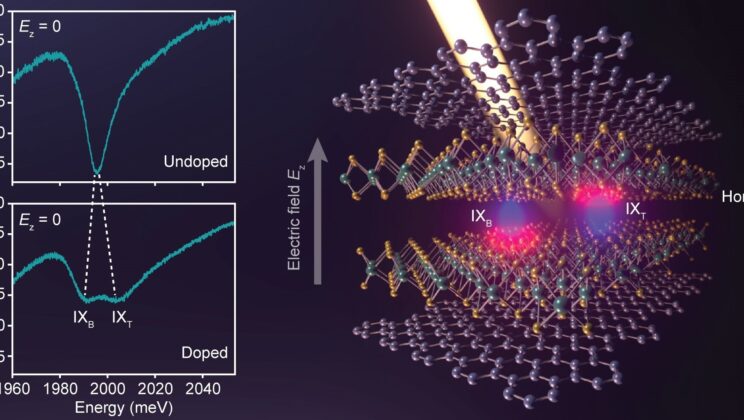 Physicists Spot a Quantum Dance Between Light and Matter in Atom-Thin Materials