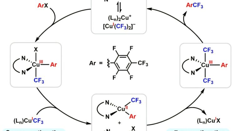 Chemists Solved a 100-Year-Old Mystery Hiding in One of Chemistry’s Oldest Reactions
