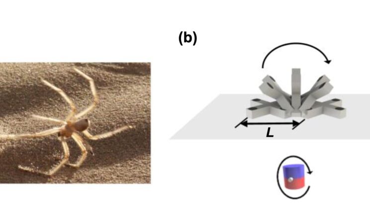 Tiny Robots Inspired by a Spider Could Soon Treat Cancer From Inside Your Gut