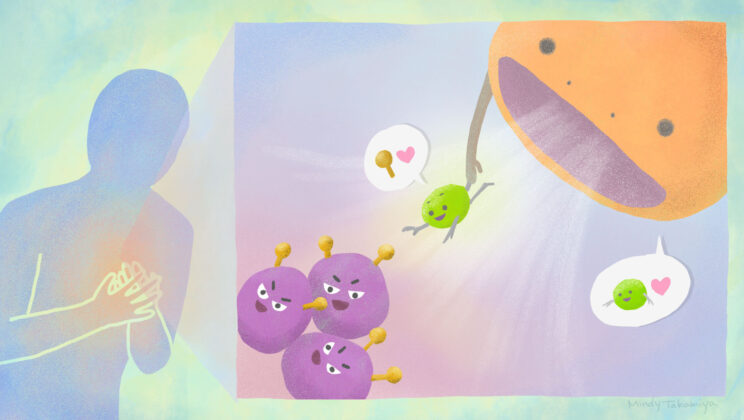 Scientists Invent “Crunch” Protein That Teaches the Body to Clean Up Cancer Cells