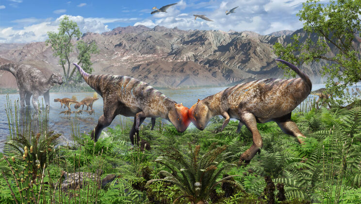 Scientists Unearth the Oldest Dome-Headed Dinosaur—And It’s Still a Teenager