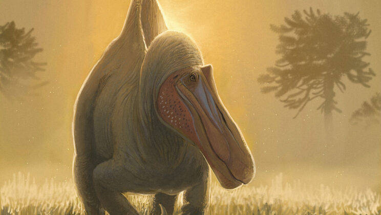 This 128-Million-Year-Old Dinosaur Could Be the True Ancestor of Spinosaurus