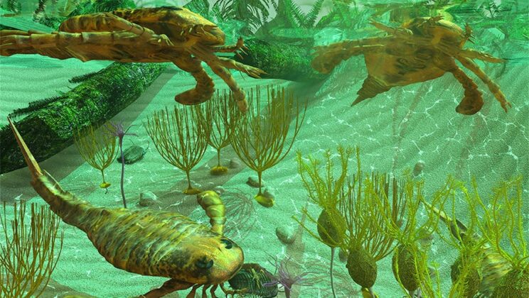 The Cambrian Explosion: The Birth of Animal Diversity
