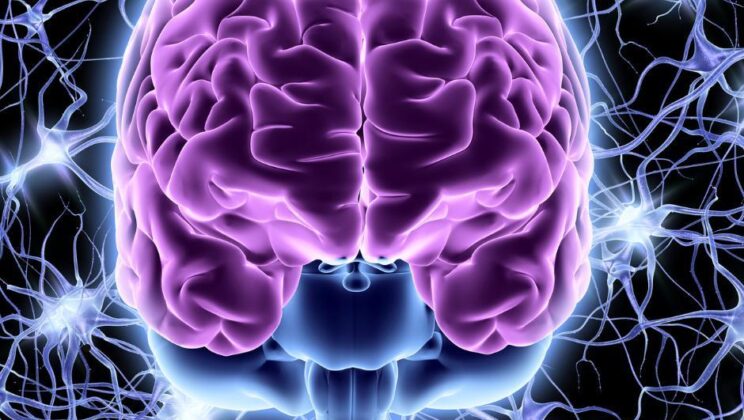 What is Neuroplasticity? How the Brain Rewires Itself