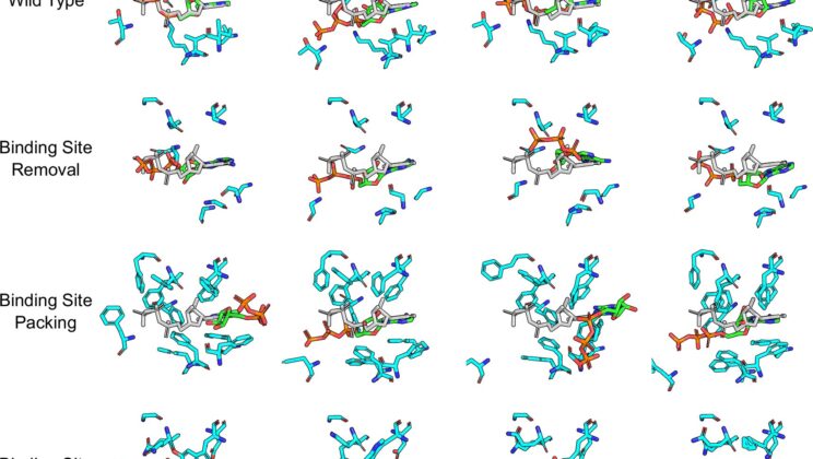 AI Was Supposed to Design New Drugs — A New Study Just Exposed a Fatal Flaw