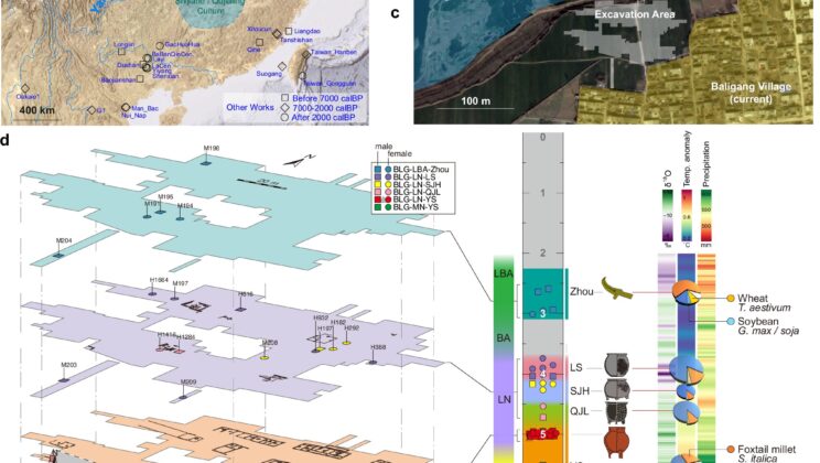 Ancient DNA Reveals China’s First Patrilineal Society — and It’s 4,000 Years Older Than Anyone Thought
