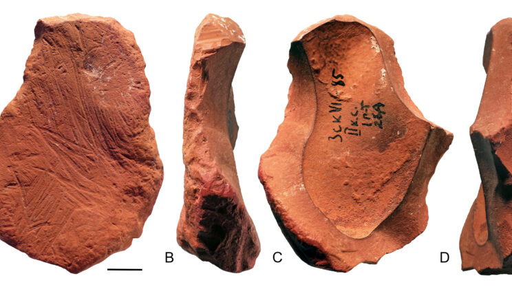 Archaeologists Discover 70,000-Year-Old “Crayons” That Prove Neanderthals Were Artists Too