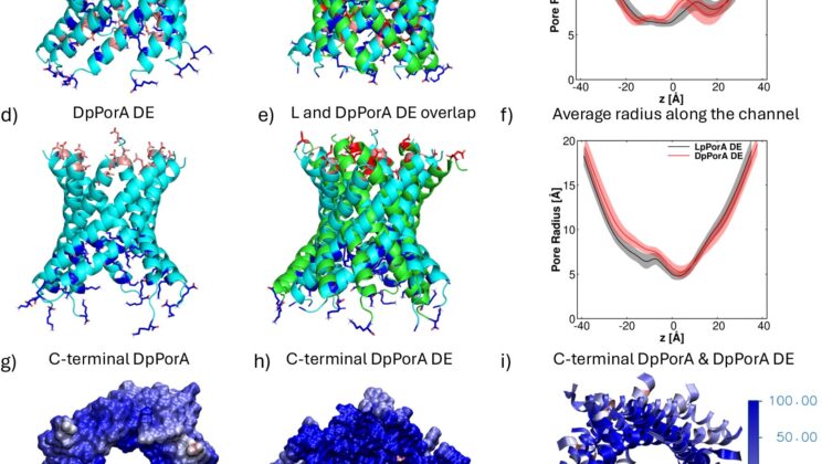 Scientists Create First-Ever “Mirror Molecule” Gateway That Could Revolutionize Cancer Treatment
