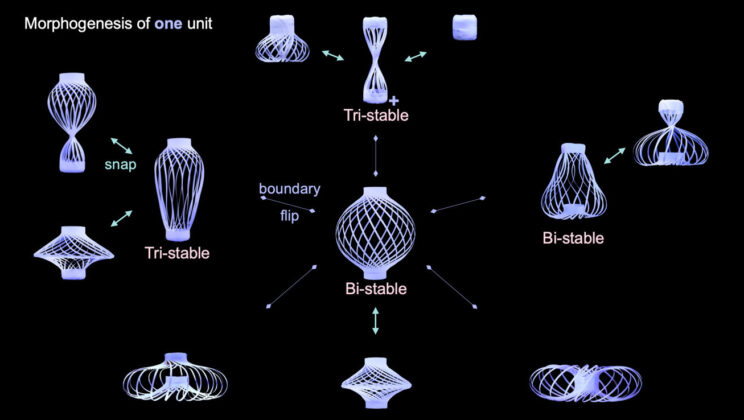 Scientists Create Shape-Shifting ‘Chinese Lantern’ That Moves Like It’s Alive — No Wires, No Motors