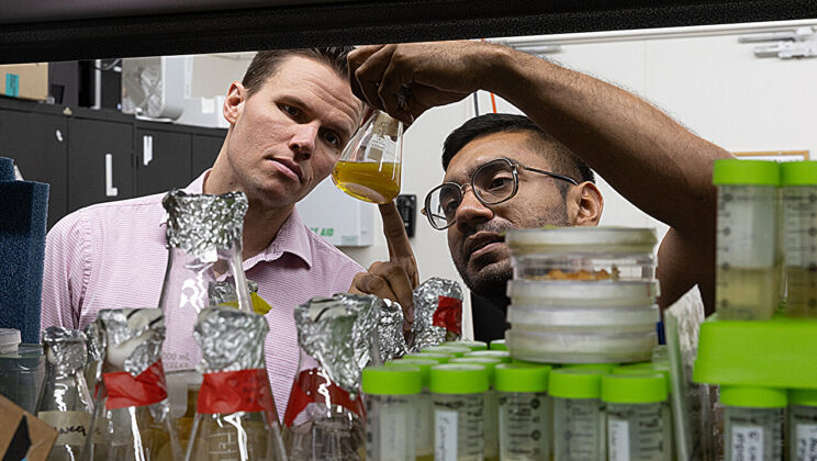 Scientists Discover Soil Fungus That Could Help Regrow Human Tissue