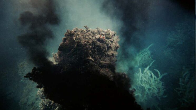 15 Most Amazing Discoveries Found Deep in the Ocean