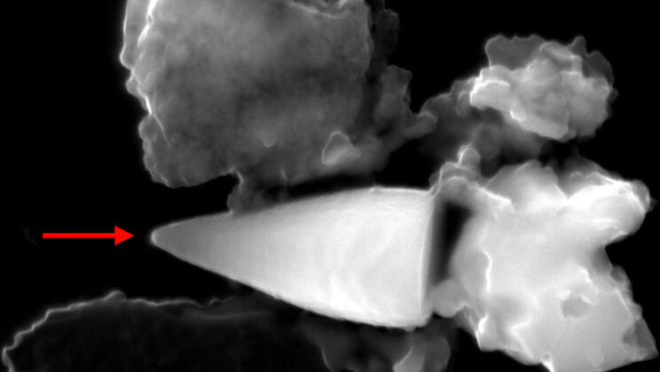 Scientists Discover Ancient Sea Creatures That Built Their Own Magnetic GPS Millions of Years Ago