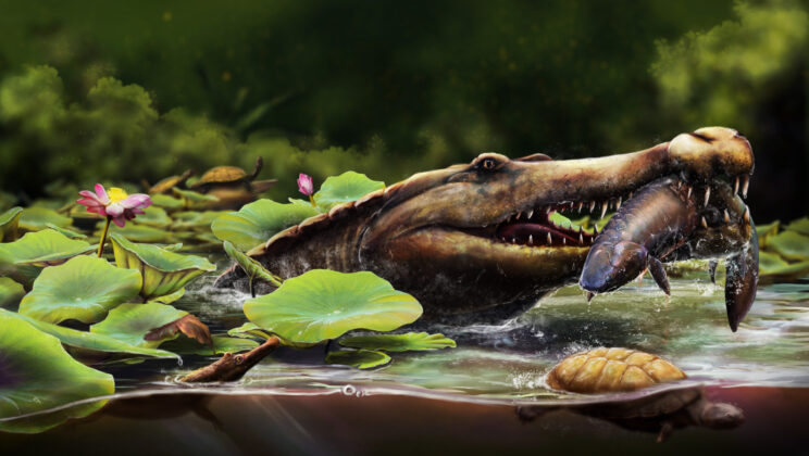 Crocodile Ancestor Discovered in Egypt Survived the Dinosaur Extinction