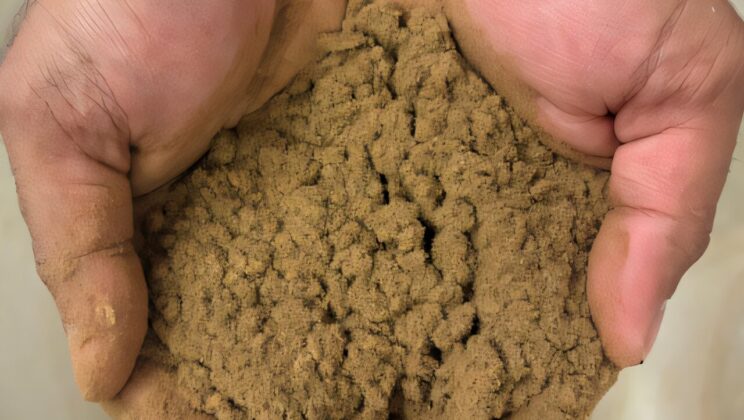 This New Eco-Friendly “Seed Powder” Could Make Farming Cleaner, Safer, and More Productive
