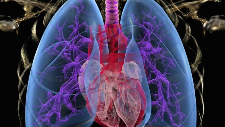 Scientists Watch Deadly Lung Bug Evolve Live Inside Patients — And Finally Understand Why It Won’t Die