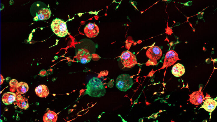 Scientists Uncover “Footprint of Death” — and How Viruses Use It to Spread in Secret