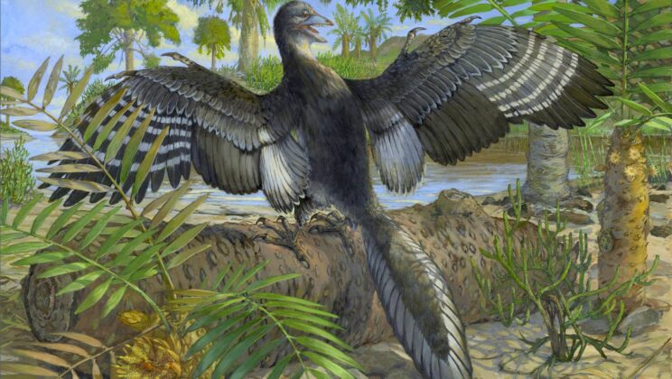 10 Animals That Changed How We Understand Evolution