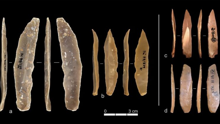 Early Humans on Two Continents Had the Same Idea—But Never Met
