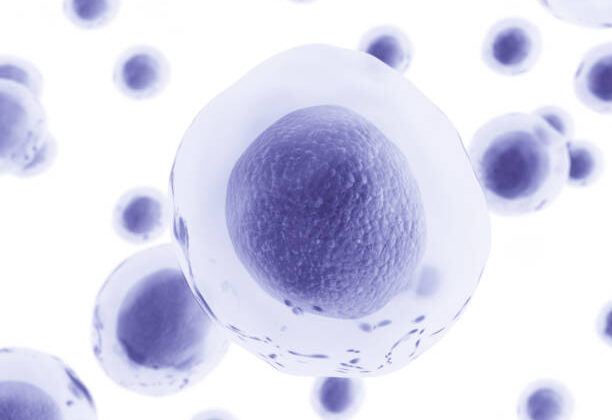 15 Most Mind-Blowing Facts About Human Cells